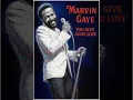 Download Lagu What If Marvin Gaye Made ‘You Give Good Love’ by Whitney Houston?