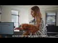 Meet Tavily Powering AI That Gives You Answers You Can Trust
