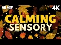 Download Lagu 4k- Calming Sensory Music Doze Into Falling Leaves Soothing Visuals