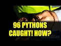 96 Pythons in 10 Days Florida s Python Hunting Champion Reveals His Mission