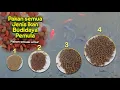 Download Lagu Jenis-jenis Pakan Ikan Nila Lengkap Enggak Pake Ribet
