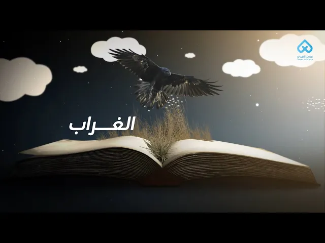 الحيوانات في القرآن | الغراب 02