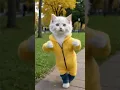 Yellow Cat Dancing Huungye