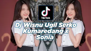 dj wisnu ungil melody streo love dj wisnu ungil melody stereo love dj serko kumaredang