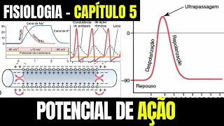 POTENCIAIS DE MEMBRANA E POTENCIAS DE AÇÃO - Fisiologia (Capítulo 5) │ Guyton e Hall