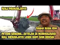 Download Lagu Petani Berterima kasih Pada KDM || Kali Mekarjaya Lebih Rapi Dan Bersih || Normalisasi Kali.