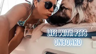 Boat Life with Pets | Sailing Turkey | Sailing Sunday Ep. 67