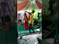 Download Lagu JAMBU ALAS Lucu  PENONTONNYA GOYANG BIKIN NGAKAK  - #shorts #shortvideo #short #subscribe #komedi