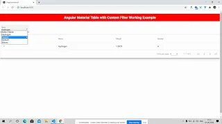 Angular Material Table with Custom Filters