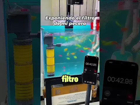 Este Chico Demostró Que tan Sucios se Ponen los Filtros de las Peceras!