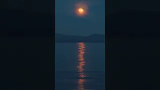 ألا يا كوكبآ باليل لاح سهام العشق قصائد طالب العلم الشرعي اكسبلور 