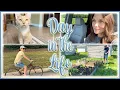 Download Lagu A Summer Day in the Life