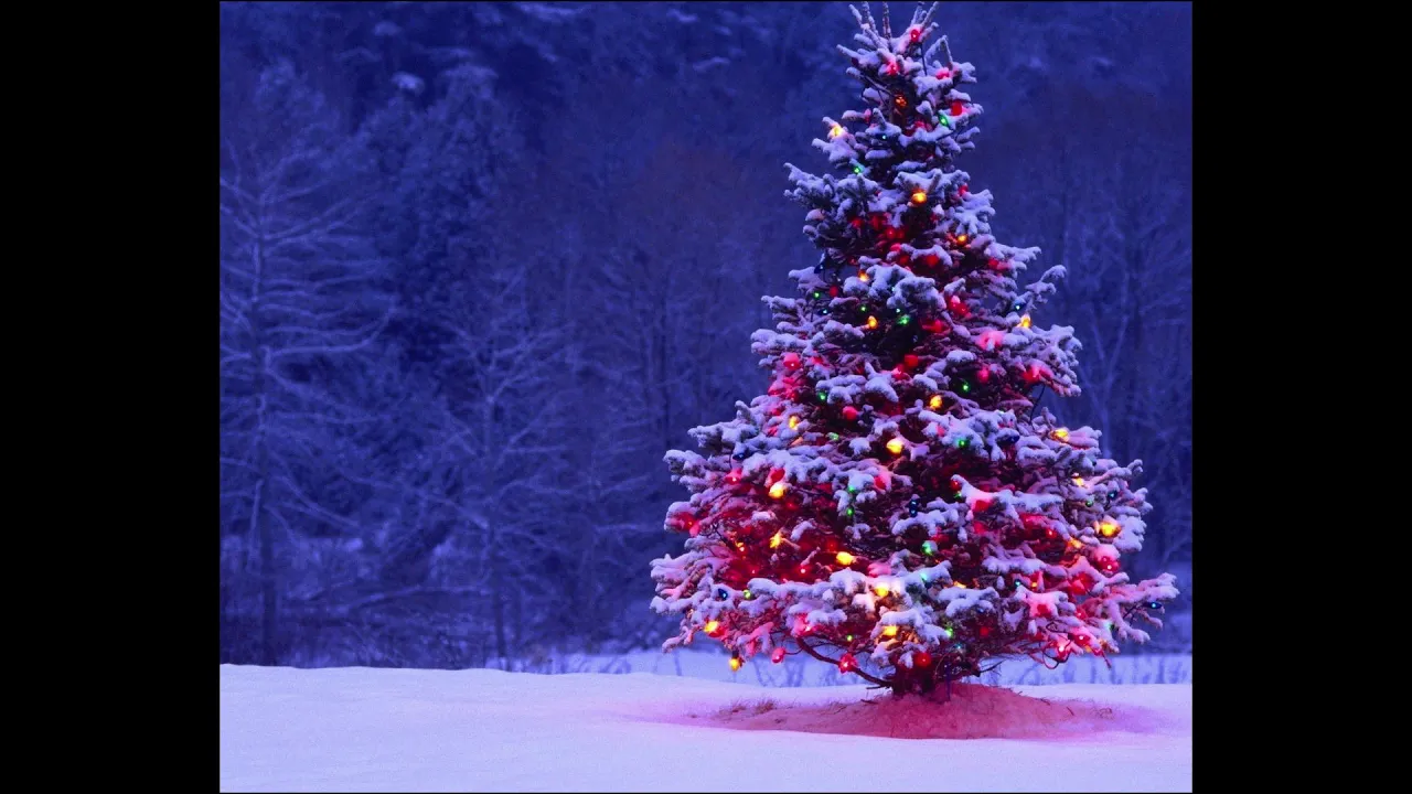 🎄Christmas Canon 🎄 Instrumental Cover 🎄Christmas Canon 🎄 Instrumental Cover