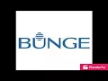 Bunge NA Internship Experience