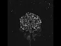 V Forme Roz (Moon's Voyager Remix)