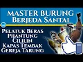 Download Lagu MASTER Burung kombinasi Jeda Santai Agar cepat kemaster