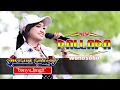 Download Lagu Banyu Langit Jihan Audy New Pallapa Wonosobo