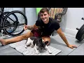 A Dog Cooling Mat That Actually Works