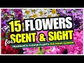 🌷😍 Best 15 Flowers for SCENT and SIGHT! 👀 Fragrance Flower Plants for Home Garden 🤩