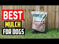 Top 5 Best Mulch for Dogs in 2025