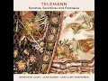 Fantasia in E Major for Recorder, TWV 40:10: 1. Affettuoso