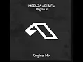 Pegasus - MEDUZA & Eli & Fur