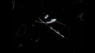 مهرجان ضربوني في ضهري بلجرنوف عصام صاصا امين خطاب 