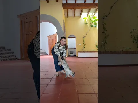 jenny voladora