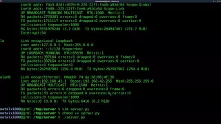 Setup a Webserver with Python Linux Tutorials clip28