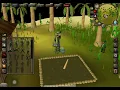 Old School RuneScape Calquat Tree Farming