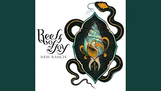 Diodo-G