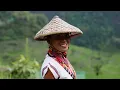 PHILIPPINES 4K Ultra HD | Tropical Island Melodies, Relaxing Filipino Music & Peaceful Nature