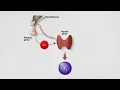 Thyroid Function Tests - what your results can mean