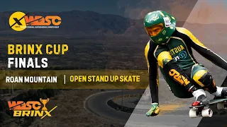 WDSC Brinx Cup Finals 2024 - Roan Mountain Open Stand Up