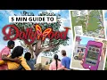 The Ultimate Beginner s Guide To Dollywood