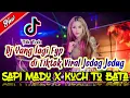 DJ SAPI MADU X KUCH TO BATA VIRAL TIKTOK JEDAG JEDUG 2021 - JUNGLE DUTCH FULL BASS