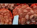 Exploring the Bronx Fish Market The 2nd Largest Fish Market In The World