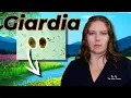 Giardia 101 Vet s Must-Know Info for Pet Guardians