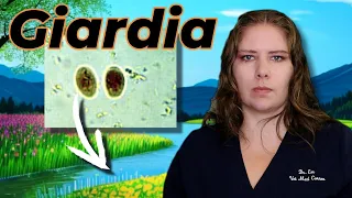 Giardia 101 Vet s Must-Know Info for Pet Guardians