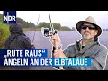 Download Lagu Rute raus, der Spaß beginnt! Elbtalaue | Rute raus, der Spaß beginnt! | NDR