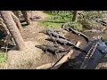 Alligator Farm Walkthrough St Augustine Florida 4K