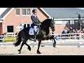 Sjef - training 02/25