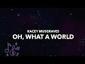 Kacey Musgraves - Oh, What A World | Karaoke Version