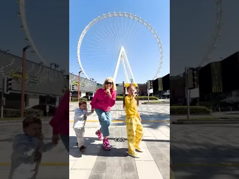 Can We Make It to the Top of the World’s Tallest Observation Wheel? 🎡🌍