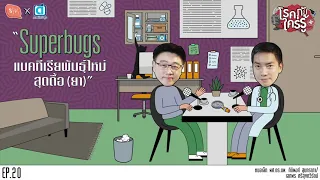 ทำไมยาปฏิชีวนะถึงไม่สามารถฆ่าไวรัสได้