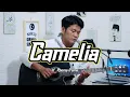 Download Lagu CAMELIA Cipt : H. Rhoma irama || dangdut cover by zanca