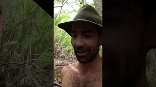 These Crabs are Insane! 🦀