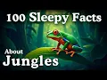 The Most Relaxing Facts About Jungles to Fall Asleep To