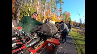 Timberwolf Alpha 6 box wedge test