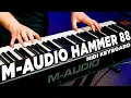 Lagu M-Audio Hammer 88 Review | BEST Budget MIDI Keyboard under $500!?